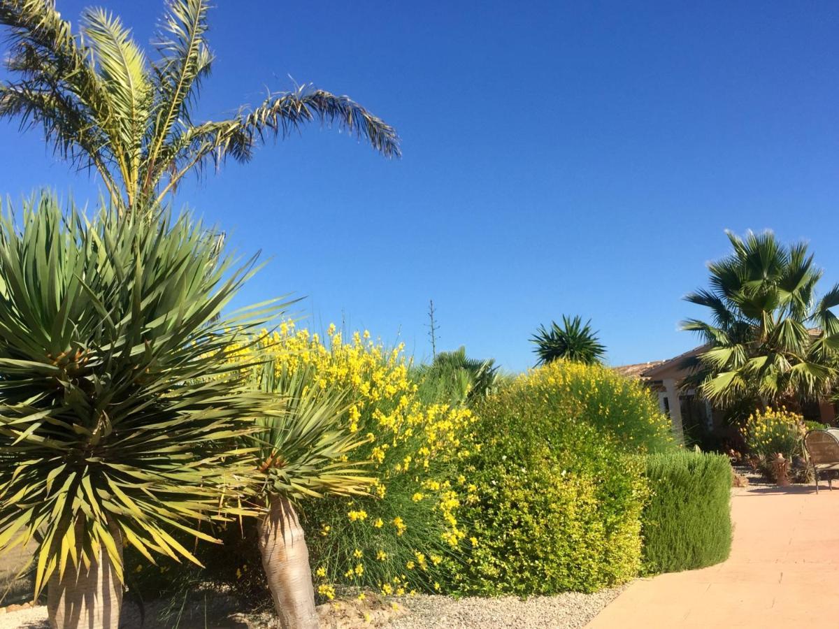 Finca Casa Mas Santanyí Exteriér fotografie